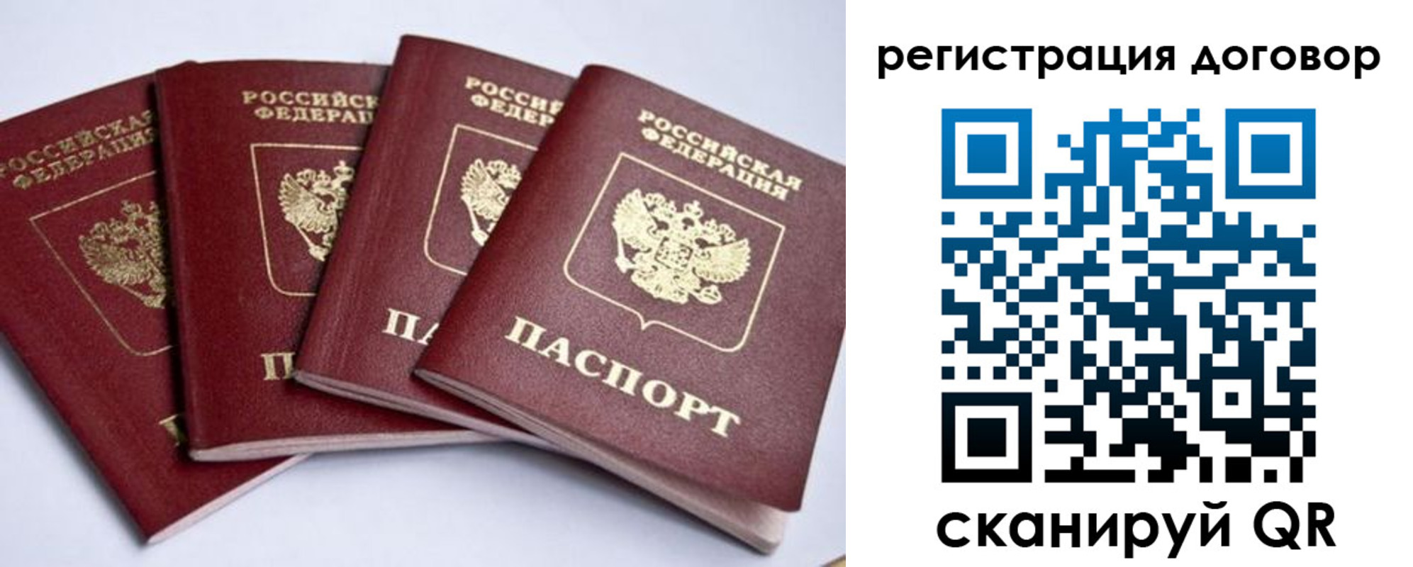 прописка поиск в Камышине
