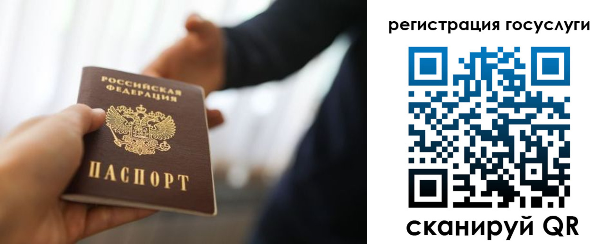 прописка в Камышине